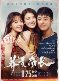 人妖tubehd╳╳hd